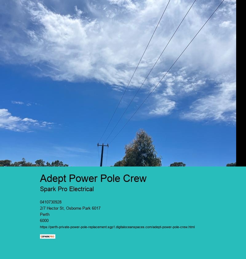 Advanced Strategies for Power Pole Replacement