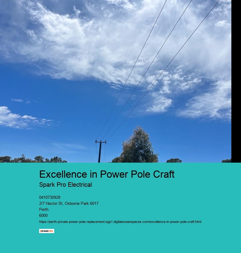 State-of-the-Art Private Power Pole Replacement